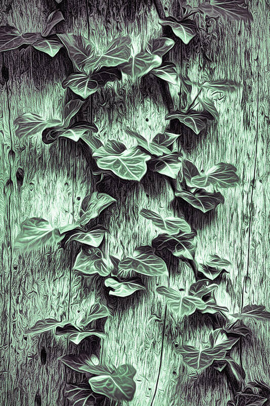 Tree Trunk Art Print featuring the photograph Ivy Pattern On The Tree Trunk by Gary Slawsky