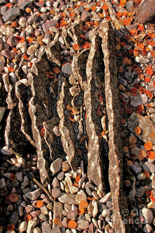 Canada Art Print featuring the photograph Jagged Little Rocks by Mary Mikawoz