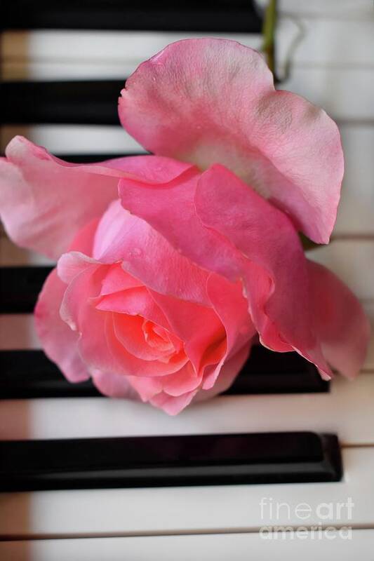 Music Art Print featuring the photograph Kiss From A Rose Maria Callas On The Piano by Leonida Arte