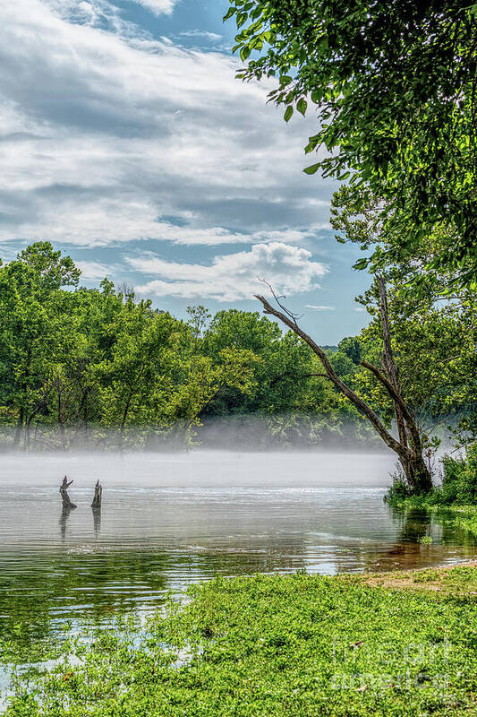 Ozarks Art Print featuring the photograph Lake Taneycomo Summer Fog Vertical by Jennifer White