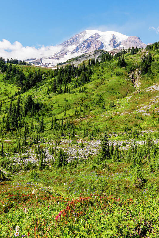 Outdoor; Skyline Trail; Summer; Mt Rainier; Mountains; Flowers; Art Print featuring the digital art Late Summer Mt Rainier by Michael Lee