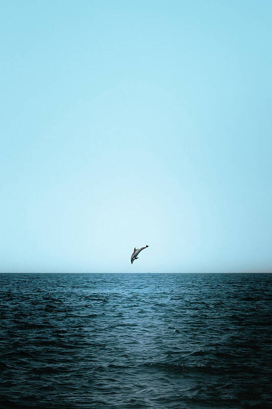 Dolphin Art Print featuring the photograph Leaps of Joy by Sina Ritter