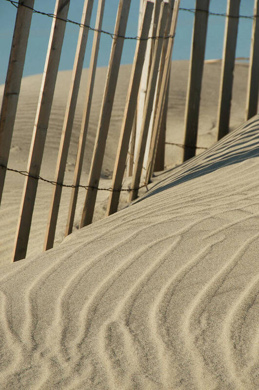 Lines Art Print featuring the photograph Lines in the Sand by Melissa Southern