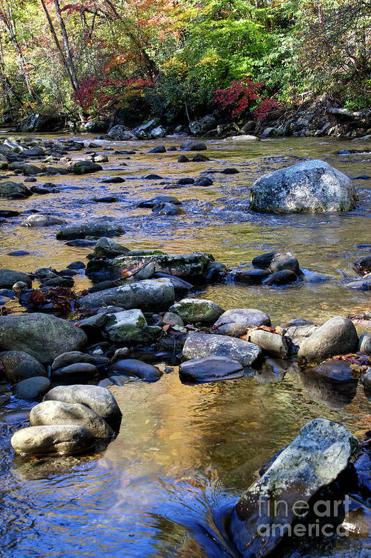 Cascades Art Print featuring the photograph Little River In Autumn 2 by Phil Perkins