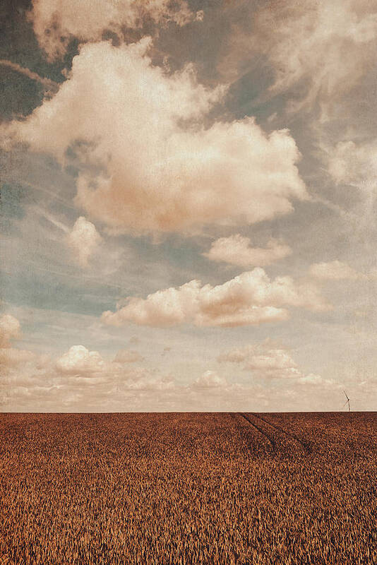 Land Art Print featuring the photograph Loneliness by Yasmina Baggili