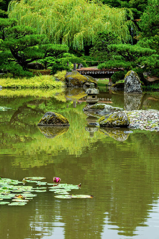 Outdoor; Summer; Japanese Garden; Seattle; City; Park; Water Lilies; Lotus; Pond; Art Print featuring the digital art Lotus in Japanese Garden by Michael Lee