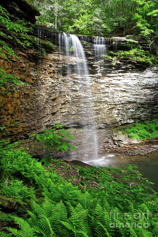 Lower Piney Falls Art Print featuring the photograph Lower Piney Falls 12 by Phil Perkins