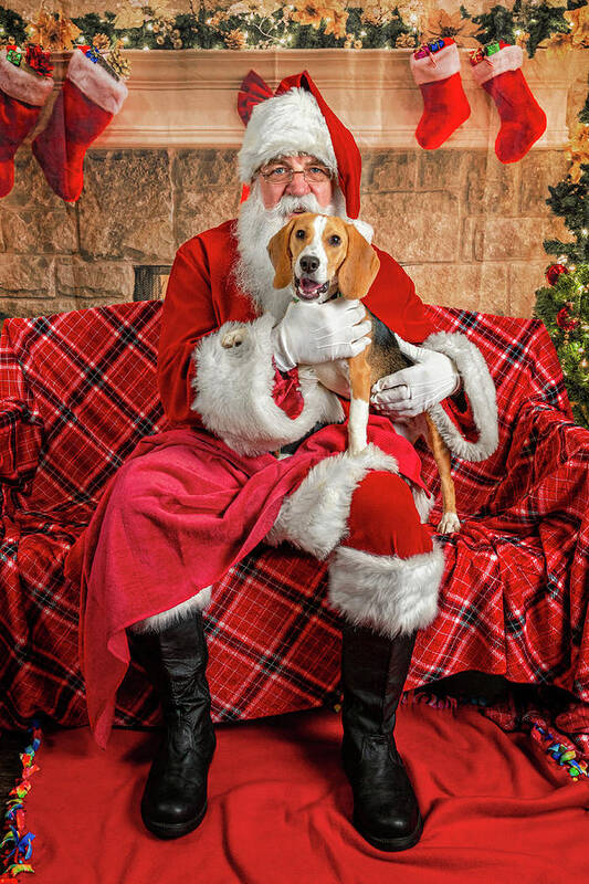 Lucy Art Print featuring the photograph Lucy with Santa 2 by Christopher Holmes