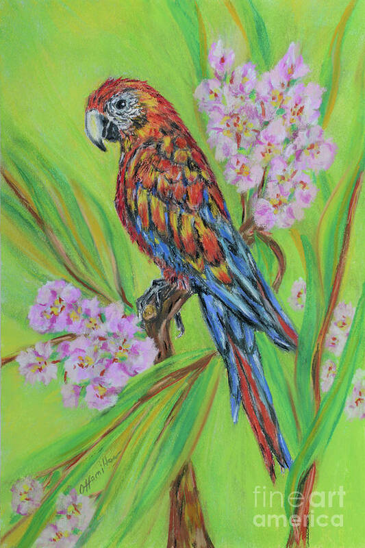 Macaw Art Print featuring the pastel Macaw In Flowers by Olga Hamilton