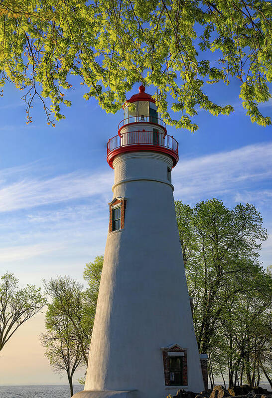 Marblehead Lighthouse Spring Leaves Art Print featuring the photograph Marblehead Lighthouse Spring Leaves by Dan Sproul