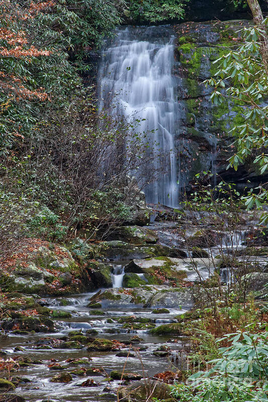 Smoky Mountains Art Print featuring the photograph Meigs Falls 14 by Phil Perkins