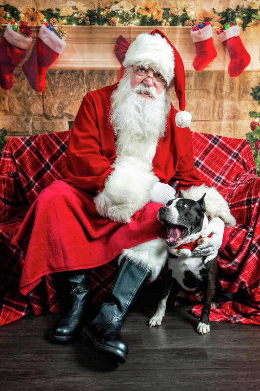 Mia Art Print featuring the photograph Mia with Santa 1 by Christopher Holmes