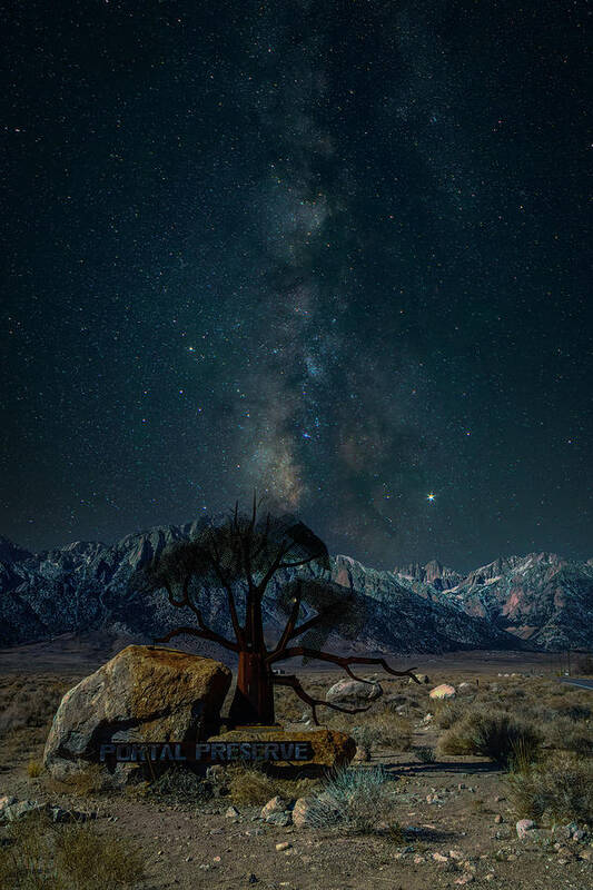 Milky Way Art Print featuring the photograph Milky Way and Iron Tree Sculpture by Lindsay Thomson