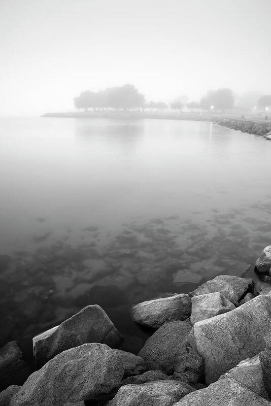 Mission Beach Art Print featuring the photograph Mission Bay Parks in Fog by William Dunigan