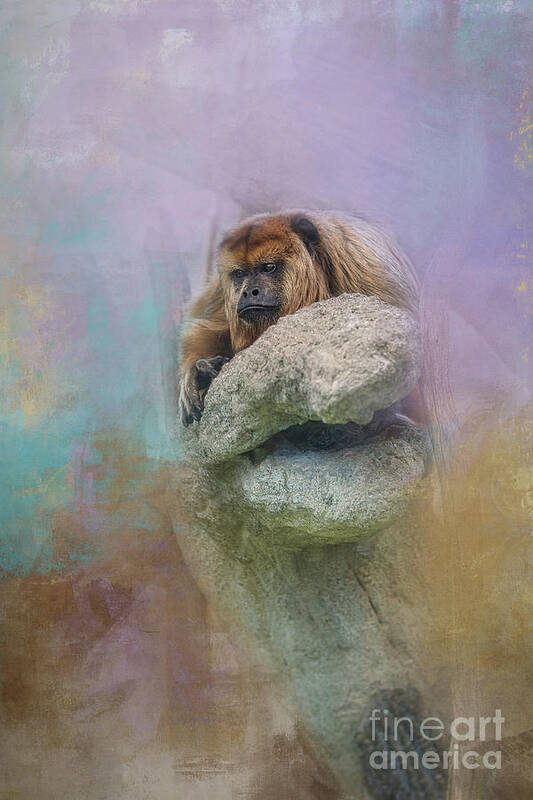Monkey Art Print featuring the digital art Monkey captured with texture by Amy Dundon