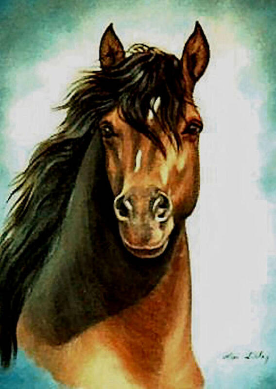 Horse Art Print featuring the painting Morgan by Loxi Sibley