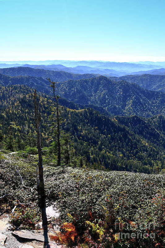 Mount Leconte Art Print featuring the photograph Mount LeConte 11 by Phil Perkins