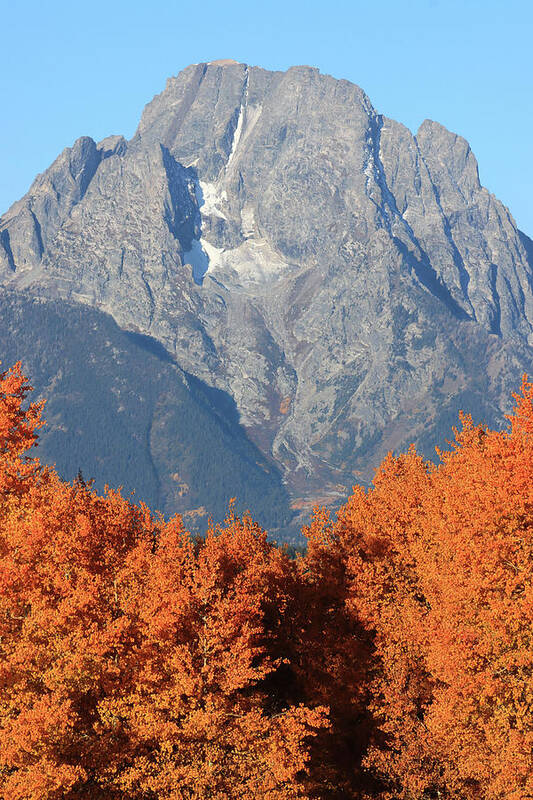 Mount Moran In Autumn Art Print featuring the photograph Mount Moran Fall Colors by Dan Sproul