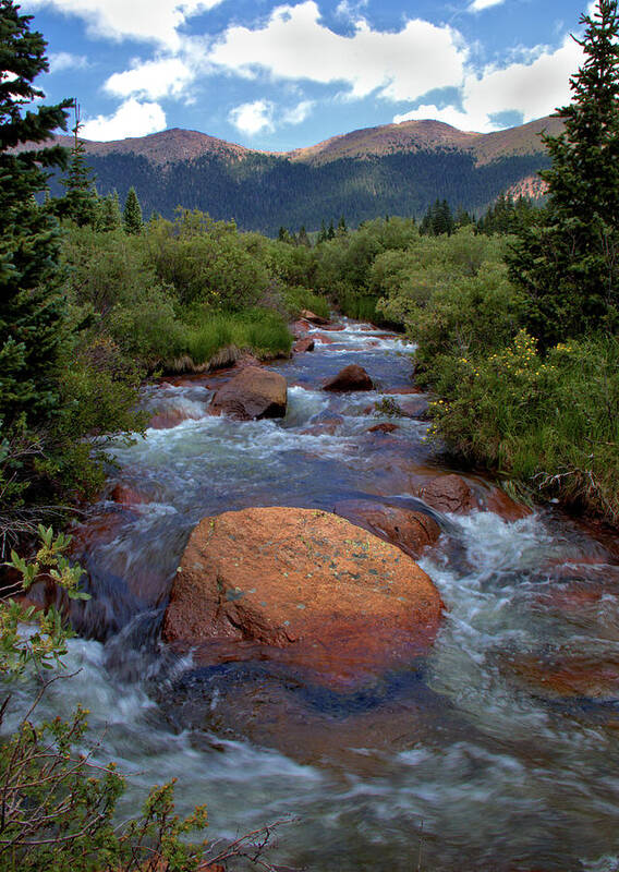Mountains Art Print featuring the photograph Mountain Creek by Bob Falcone