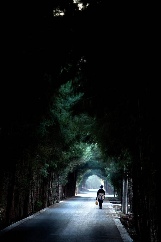 China Art Print featuring the photograph Naxi Woman in the Tunnel of Trees by Mark Gomez