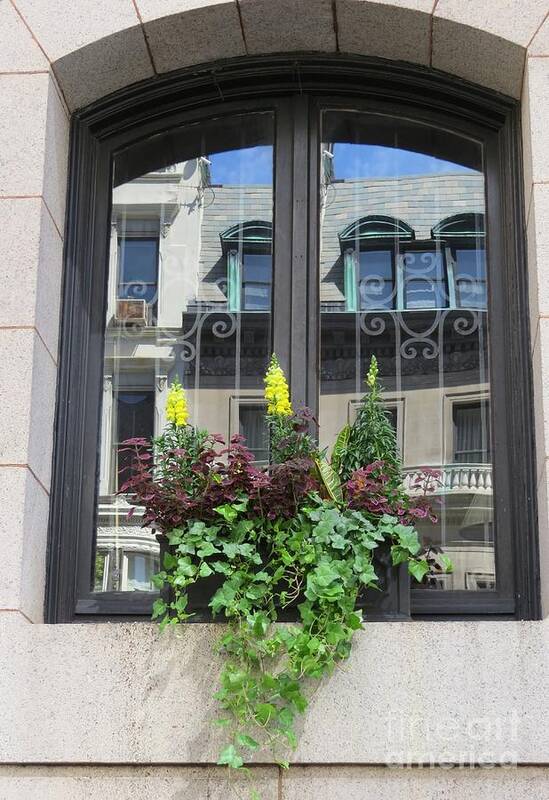 Window Art Print featuring the photograph New York City Windows 1 by World Reflections By Sharon