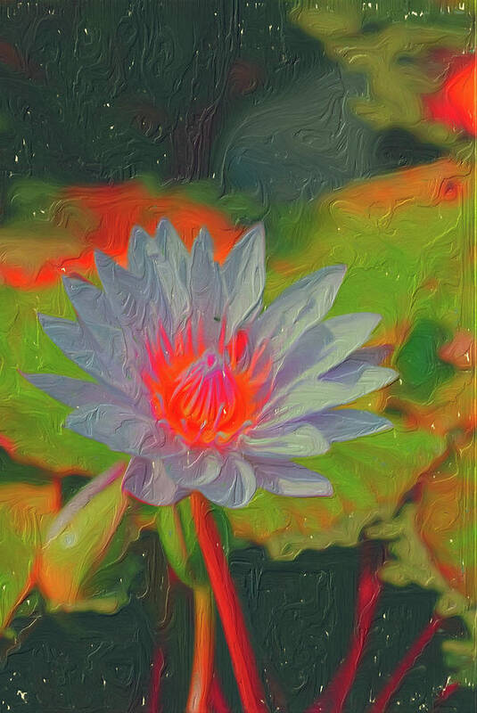 Water Lily Art Print featuring the digital art Ornamental Aquatic Flower by Don Wright