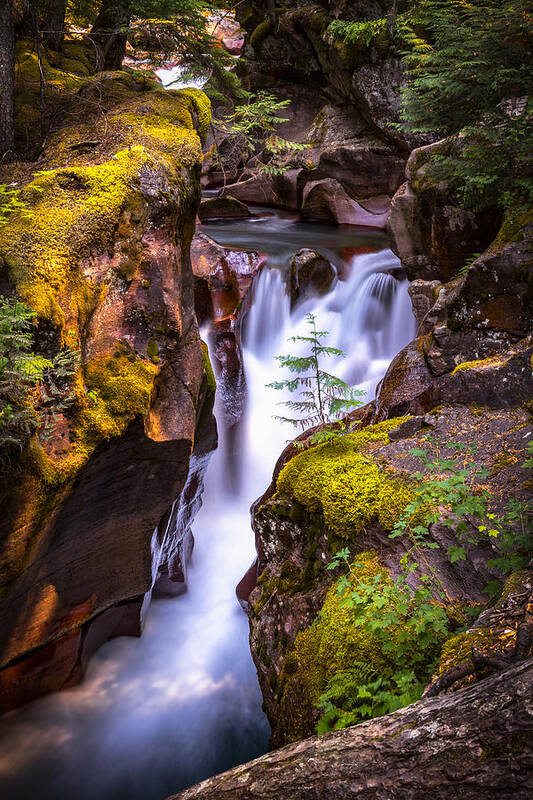 Avalanche Gorge Art Print featuring the photograph Out On A Ledge by Ryan Smith