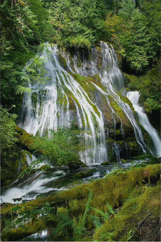 Waterfall Art Print featuring the photograph Panther Creek Falls, Oregon by Oscar Gutierrez