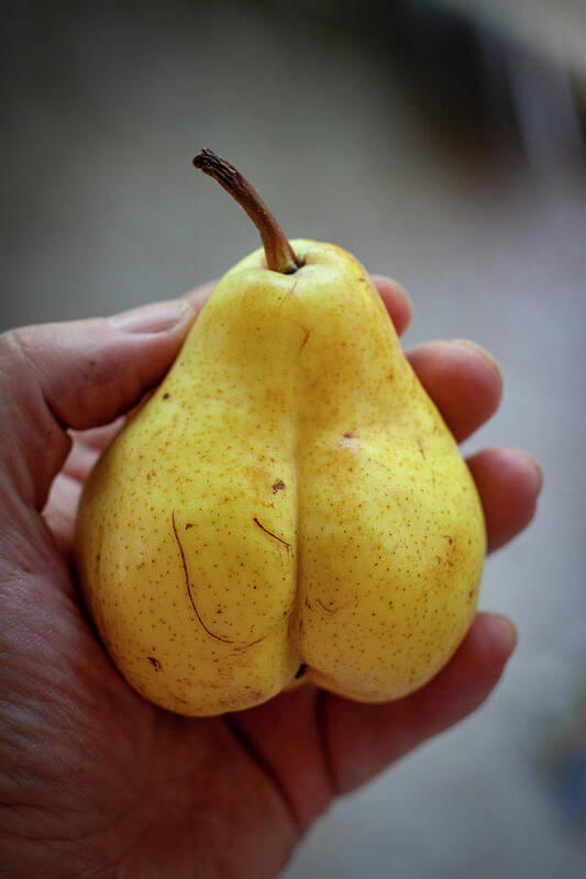Pear Art Print featuring the photograph Pear by Jim Whitley
