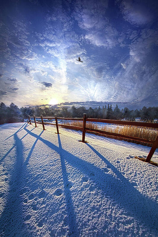 Beautiful Art Print featuring the photograph Poetry of Peace by Phil Koch