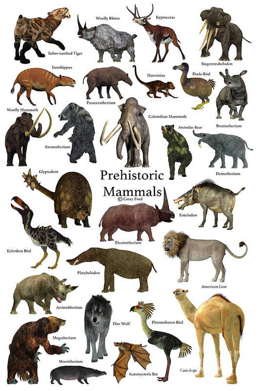 Prehistoric Mammals Art Print by Corey Ford - Fine Art America