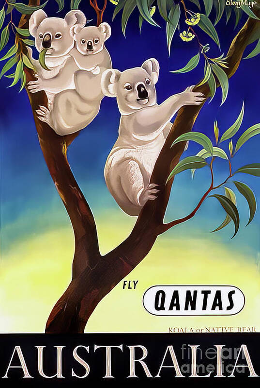 Qantas Art Print featuring the drawing Quantas Koala Travel Poster by M G Whittingham