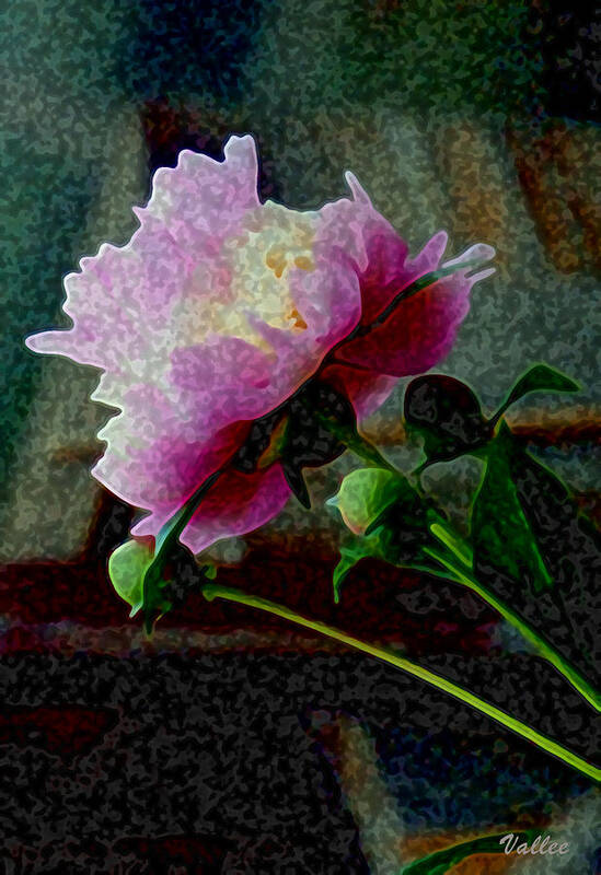 Flower Art Print featuring the digital art Queen Peony by Vallee Johnson