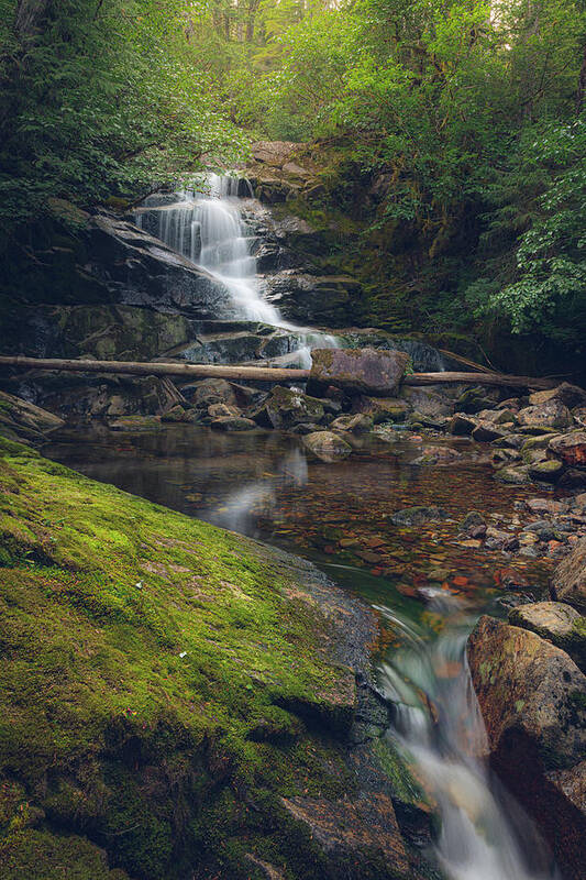 Waterfall Art Print featuring the photograph Quiet Falls by Michael Rauwolf