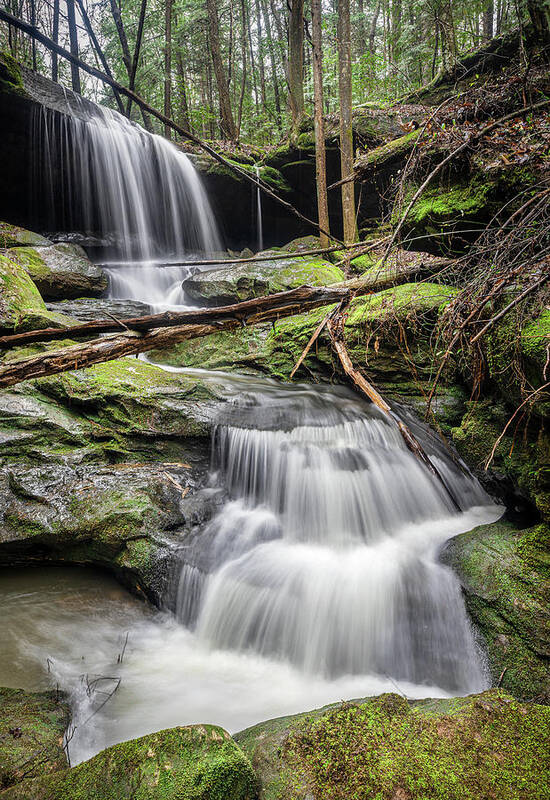 Wolfpen Falls Art Print featuring the photograph Wolfpen Falls In Bankhead National Forest by Jordan Hill