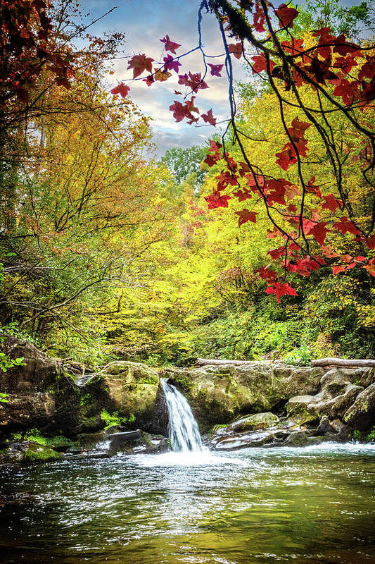 Carolina Art Print featuring the photograph Red Maples at the Smoky Mountain Waterfall by Debra and Dave Vanderlaan