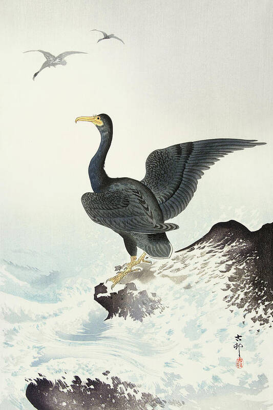 Bird Art Print featuring the painting Red mask cormorant on rock by Ohara Koson