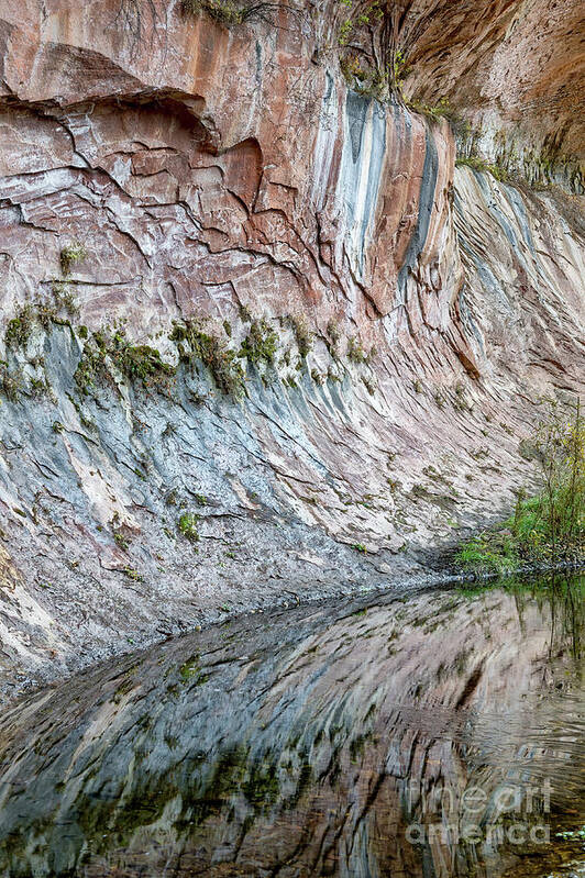 Sandra Bronstein Art Print featuring the photograph Reflections in Oak Creek Canyon by Sandra Bronstein