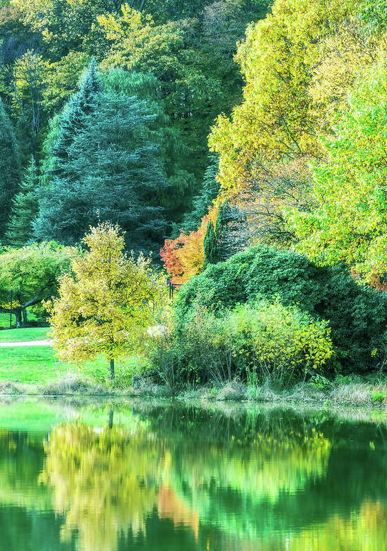 Autumn Art Print featuring the photograph Reflections Of Autumn In The Park by Gary Slawsky