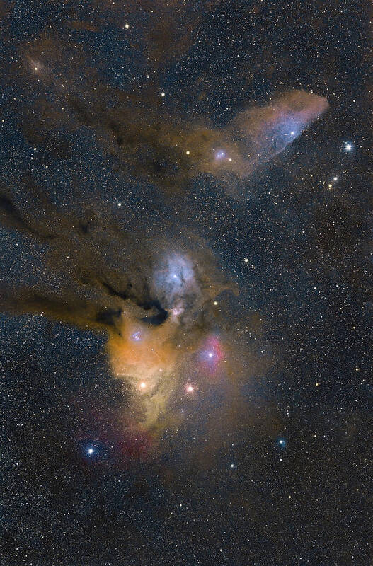 Astrophotography Art Print featuring the photograph Rho Ophiuchi by Grant Twiss