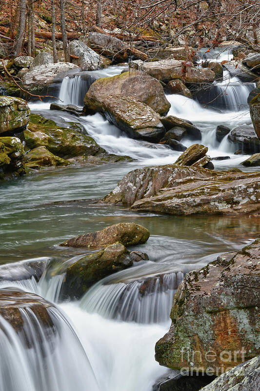 Laurel Falls Art Print featuring the photograph Richland Creek 6 by Phil Perkins