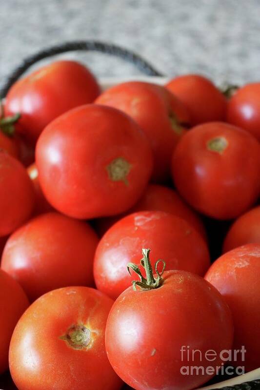 Food Art Print featuring the photograph Ripe Tomatoes in Bowl Vertical by Carol Groenen