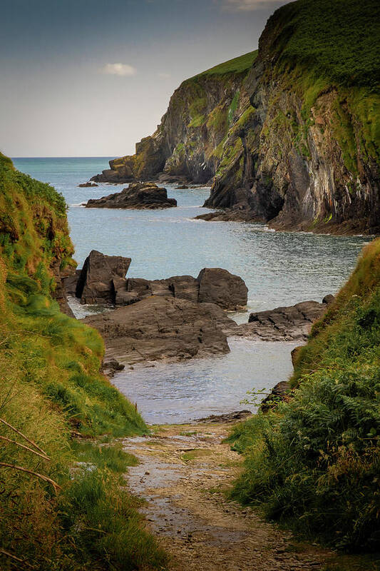 Cove Art Print featuring the photograph Road To Nohaval Cove by Mark Callanan