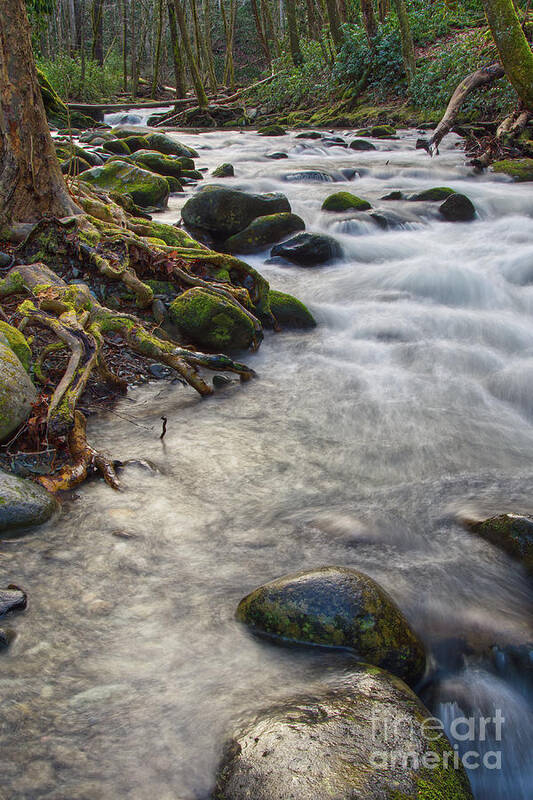  Art Print featuring the photograph Roadside Creek 3 by Phil Perkins