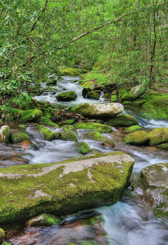 Stream Art Print featuring the photograph Roaring Fork by Randall Dill