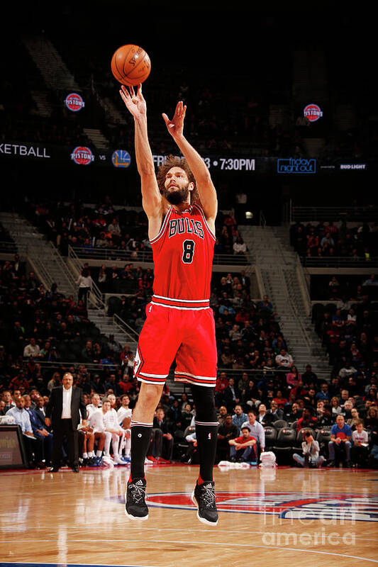Robin Lopez Art Print featuring the photograph Robin Lopez by Brian Sevald