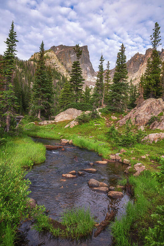 Mountain Art Print featuring the photograph Rocky Mountain Views by Darren White