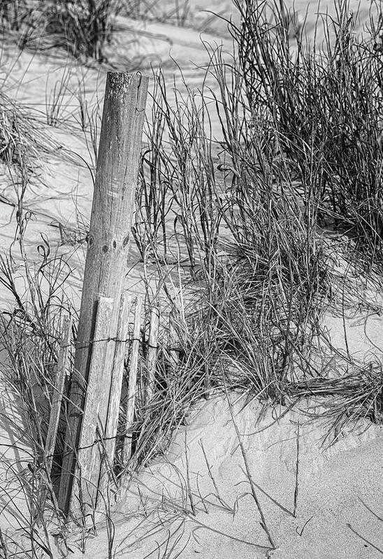 Beach Art Print featuring the photograph Sand Fence Reclaimed by the Beach by Bob Decker