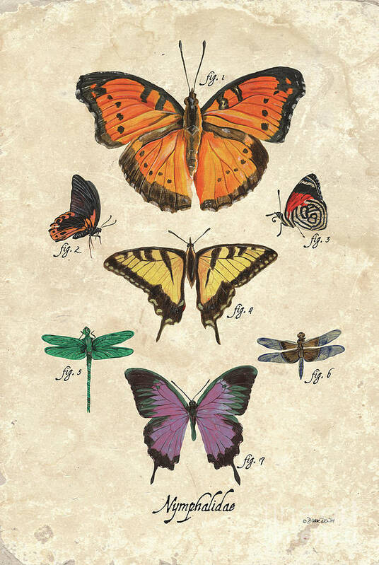 Butterflies Art Print featuring the painting Scientific Butterflies 1 by Debbie DeWitt