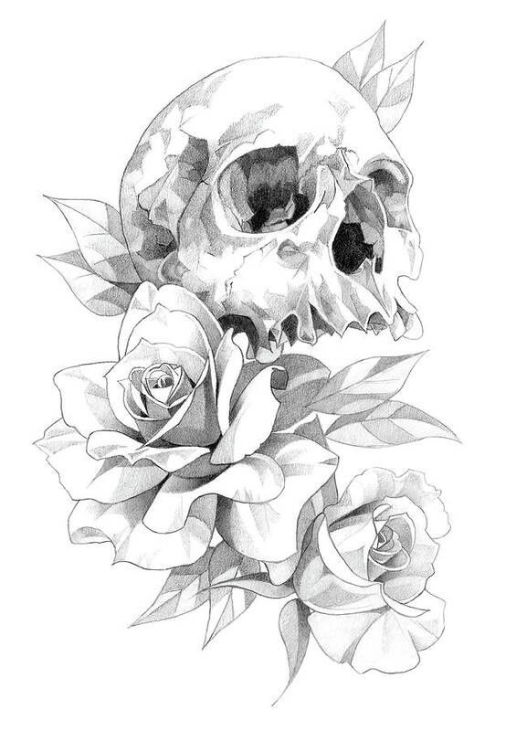 Draw Skin On Top Of A Simple Skull Drawing